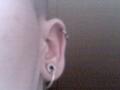 , Ear Style
