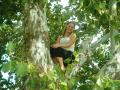 , im in a tree