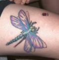 , Dragonfly