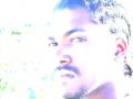 , rows