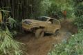 , jungle 06