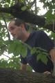 , in a tree